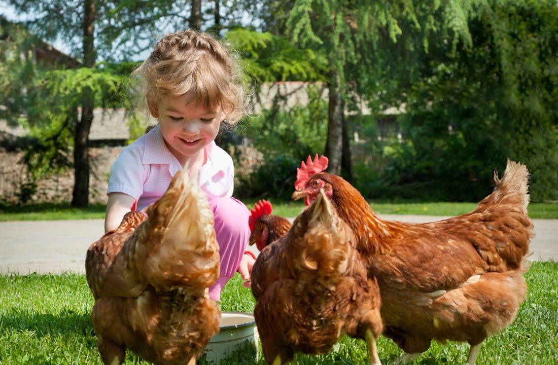 Mädchen mit Hühner am Bauernhof