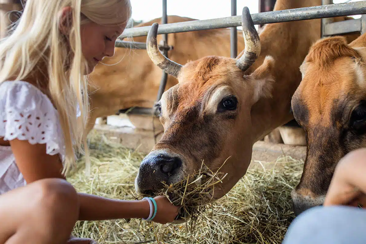 Urlaub mit Kindern am Bauernhof in Altenmarkt - Salzburger Land, Erlebnisbauernhöfe Altenmarkt
