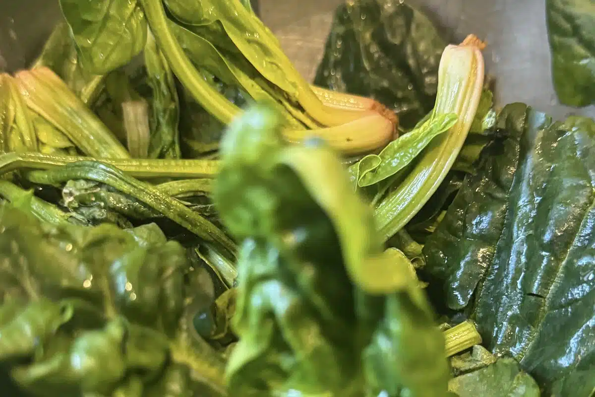 Spinat - Regionale Rezepte von Salzburger Bauern - Erlebnisbauernhöfe Altenmarkt